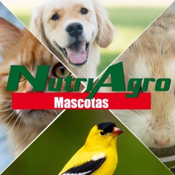 NutriAgro Mascotas Zeolita...